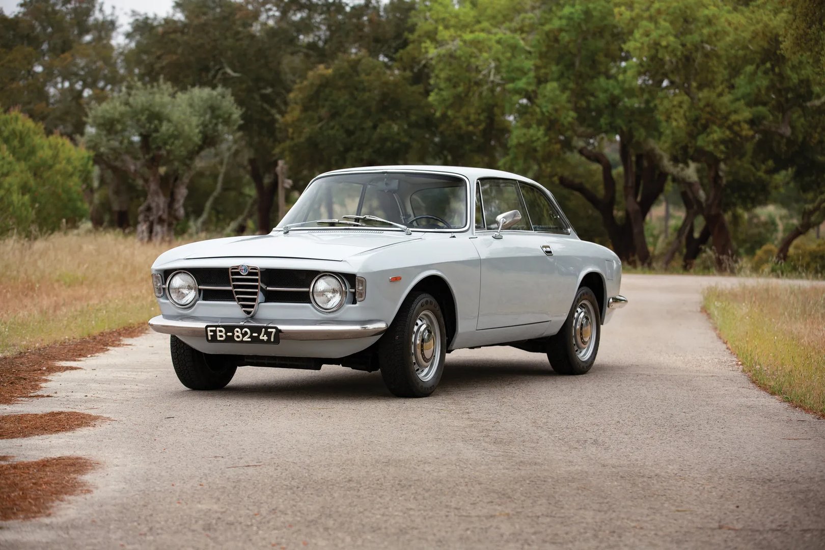Alfa Romeo_105_115_1_generation__Coupe__4.jpg