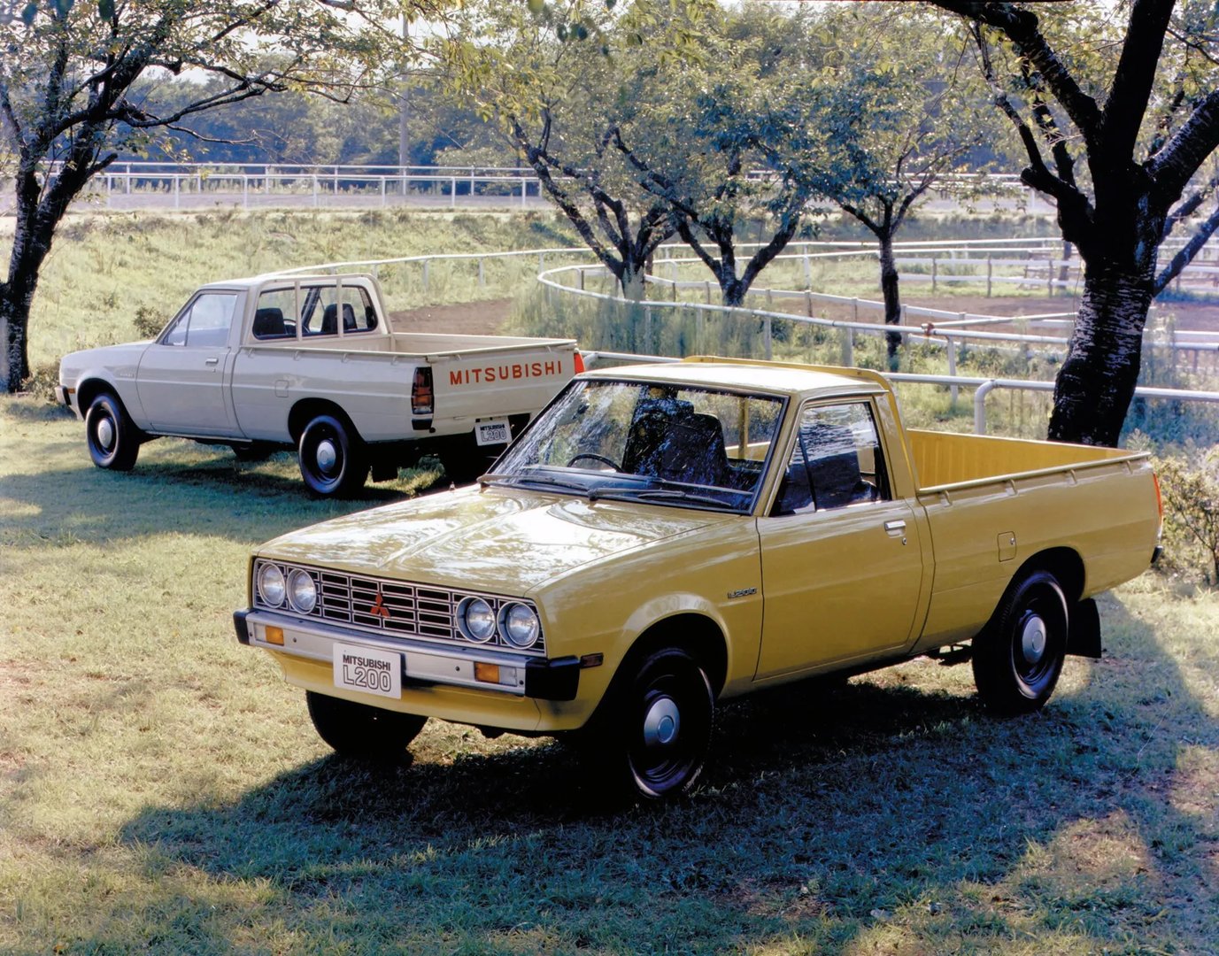 Mitsubishi_Triton_1_generation__Pickup_single-cab__1.jpg