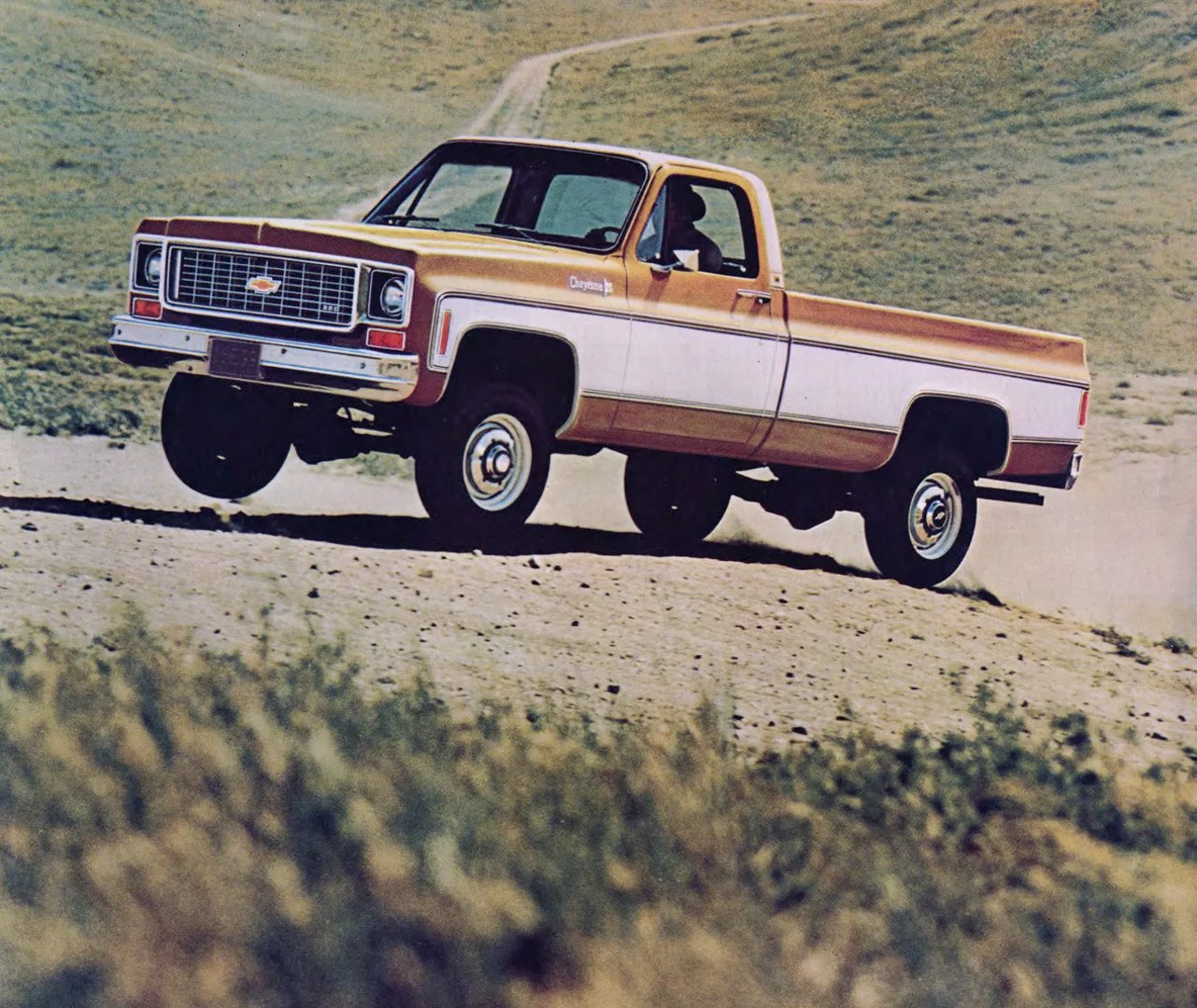 Chevrolet_C_K_3_generation__Pickup_single-cab__10.jpg