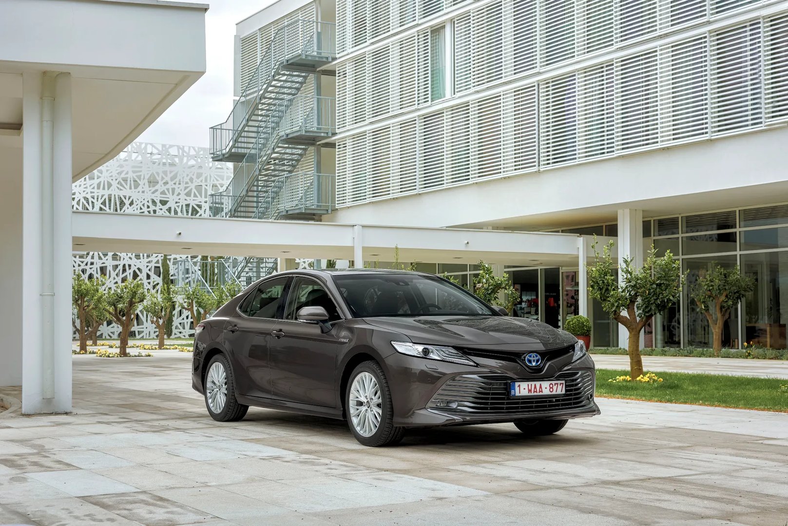 Toyota_Camry_8_generation__Sedan__6.jpg