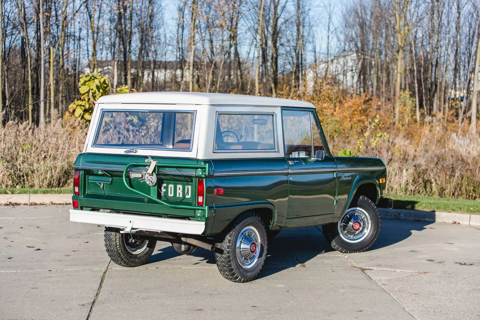 Ford_Bronco_1_generation__SUV_3-doors__5.jpg