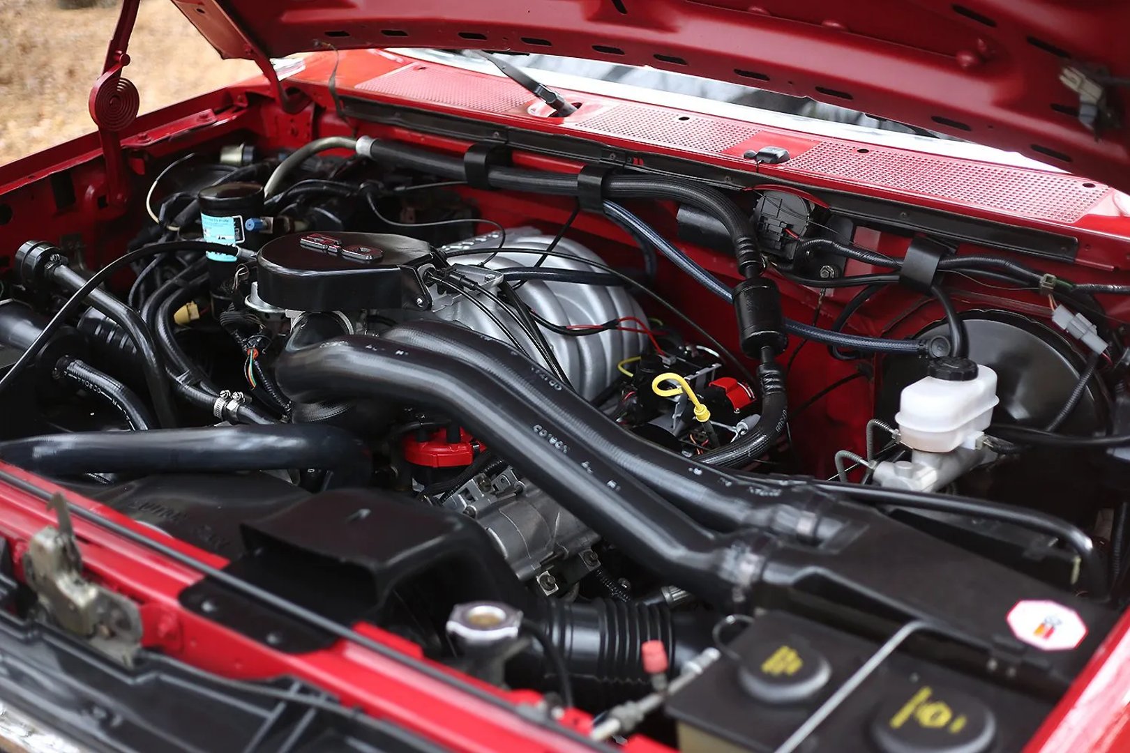 Ford_F-150_8_generation__Pickup_single-cab__10.jpg