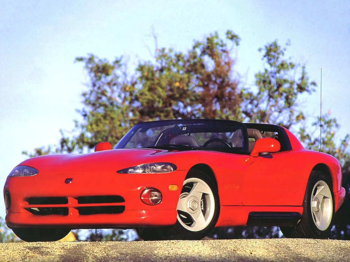 Dodge_Viper_1_generation__Roadster__1.jpg