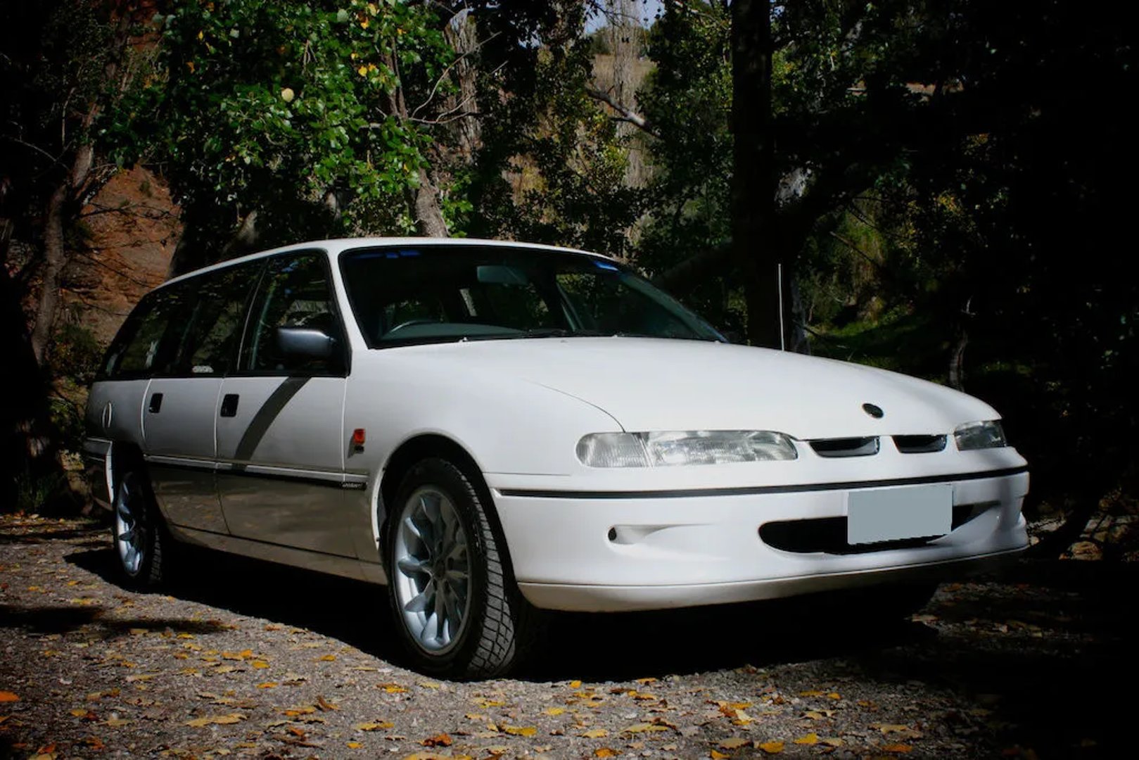 Holden_Commodore_2_generation__Estate_5-door__1.jpg