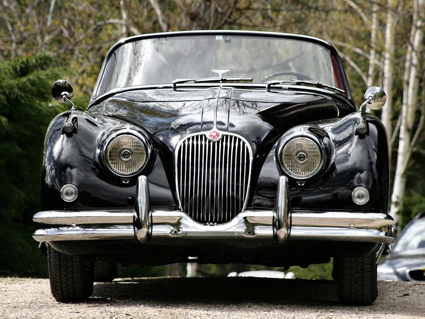 Jaguar_XK_Raritet_3_generation__Roadster__2.jpg