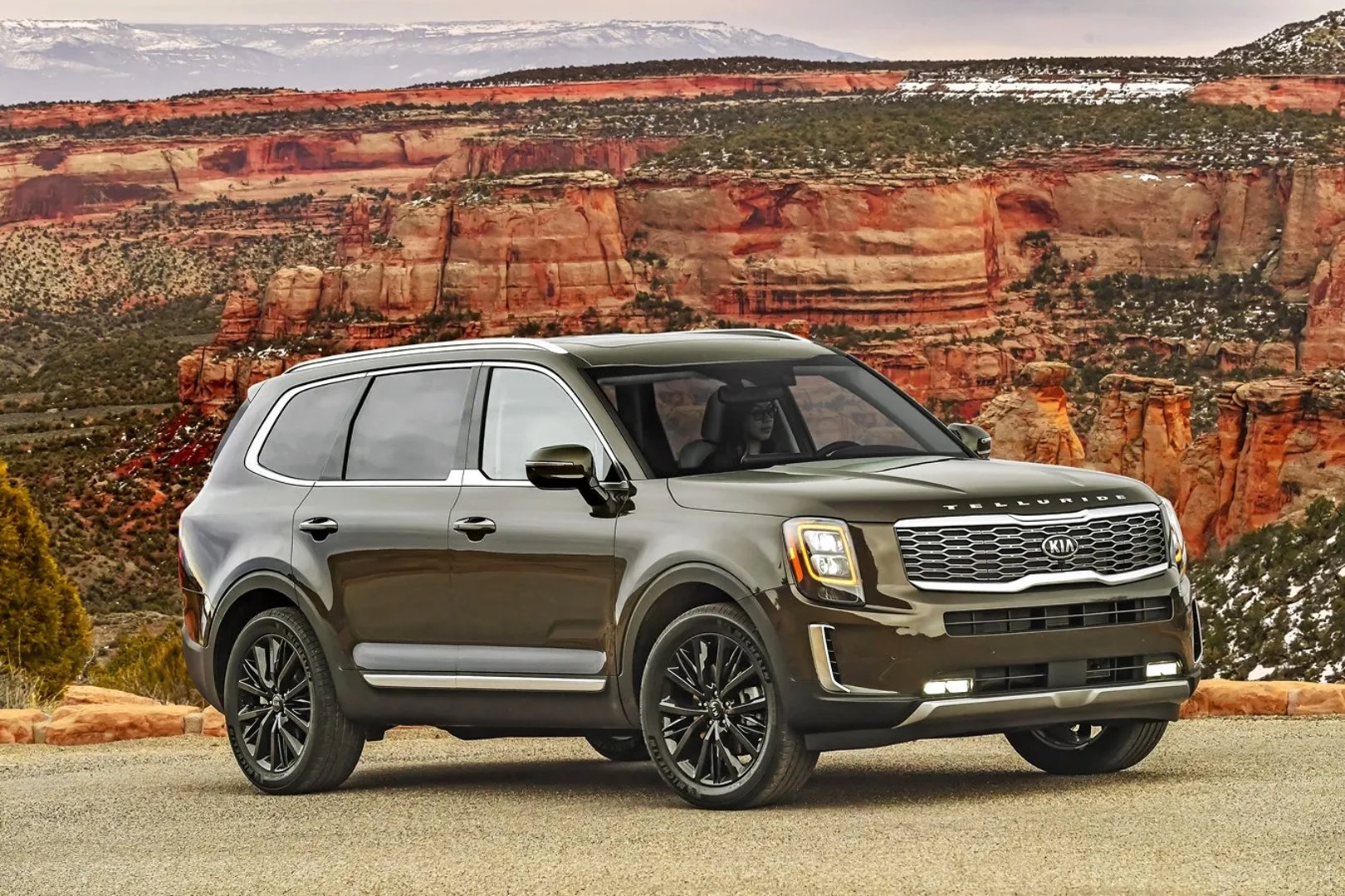 Kia_Telluride_1_generation__SUV_5-doors__3.jpg