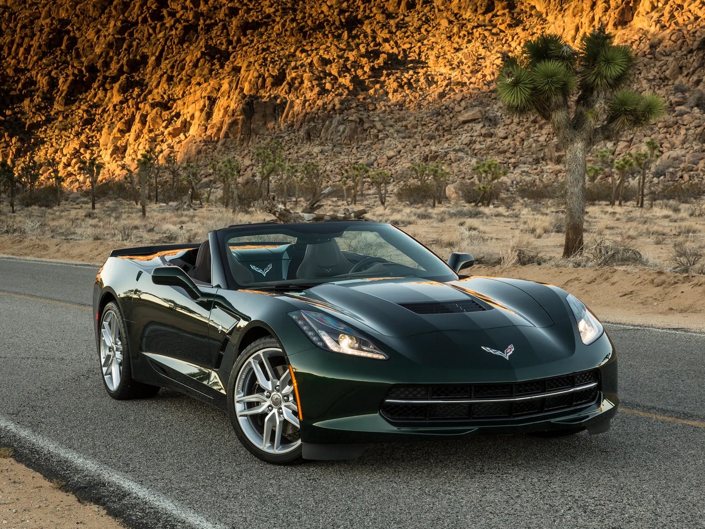 Chevrolet Corvette 7 generation  Roadster