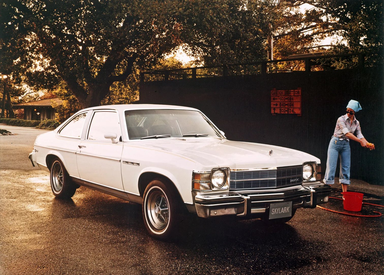 Buick Skylark 4 generation  Coupe