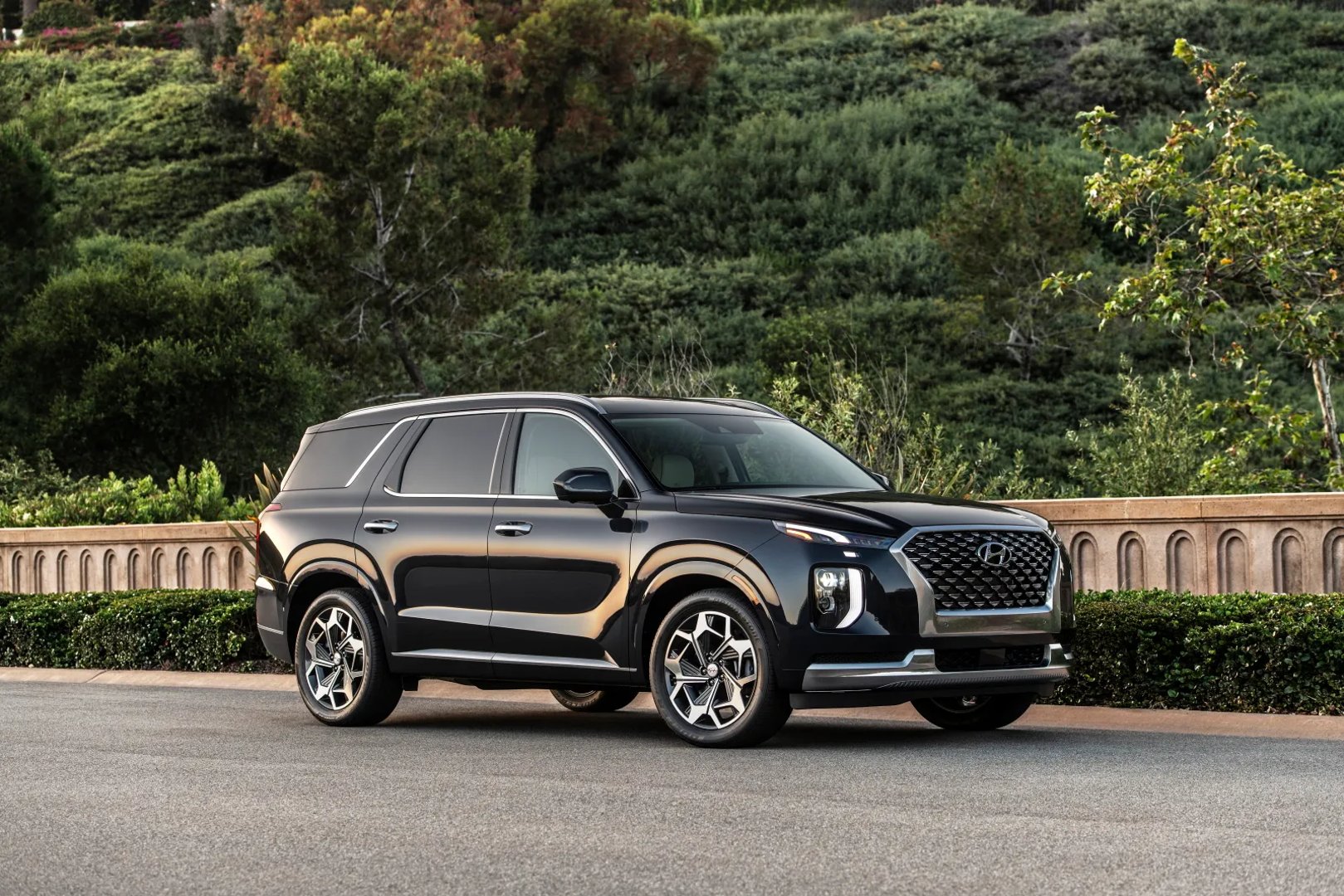 Hyundai_Palisade_1_generation__SUV_5-doors__1.jpg
