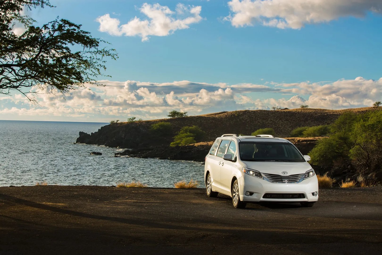 Toyota_Sienna_3_generation_restyling_1__Minivan__11.jpg
