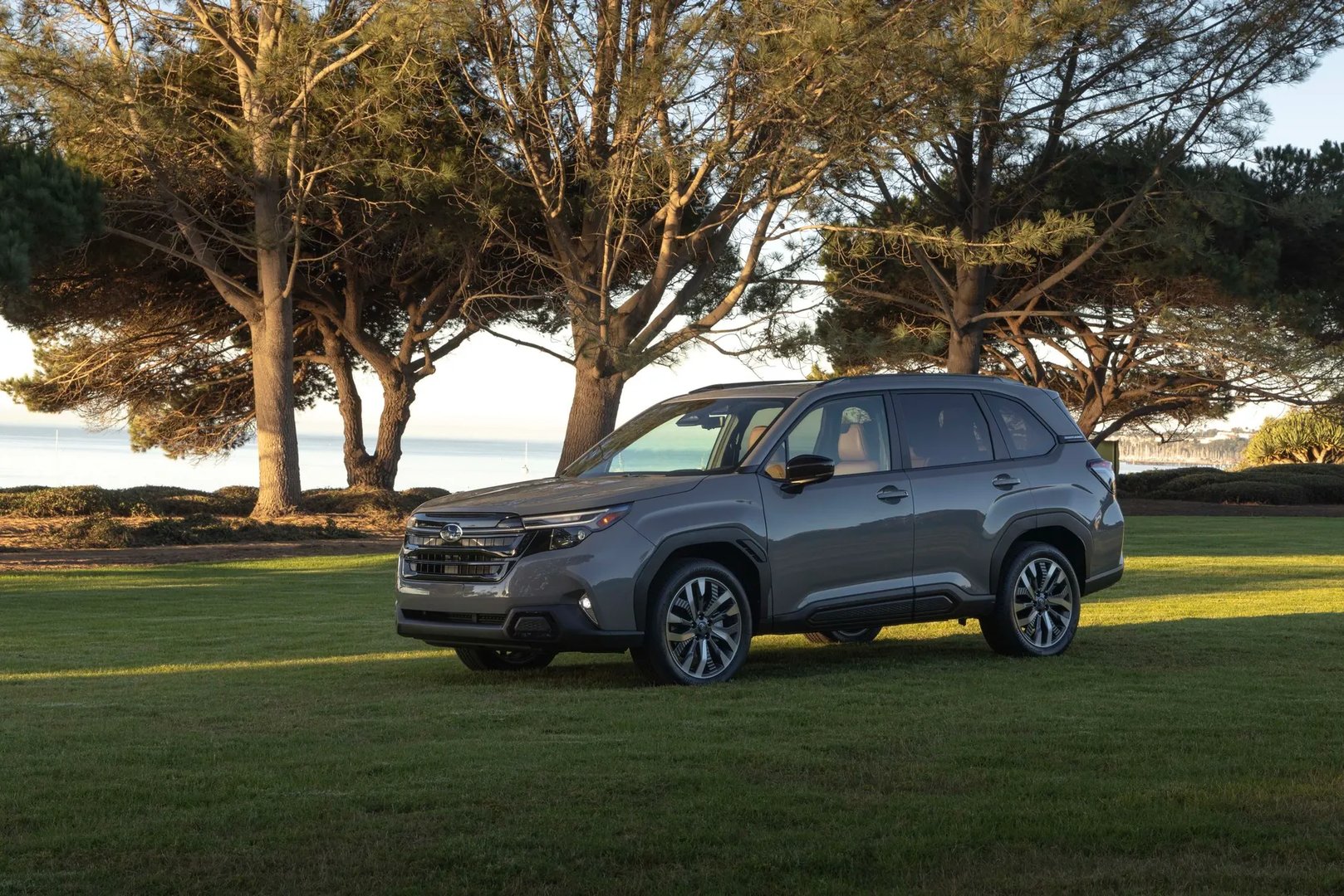 Subaru_Forester_6_generation__SUV_5-doors__1.jpg