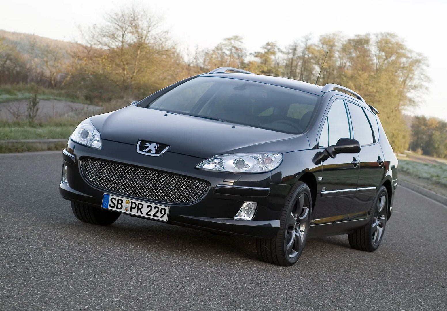 Peugeot 407 1 generation  Estate 5-door