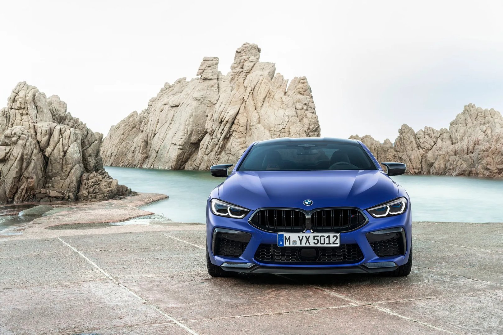 BMW_M8_1_generation__Coupe__11.jpg