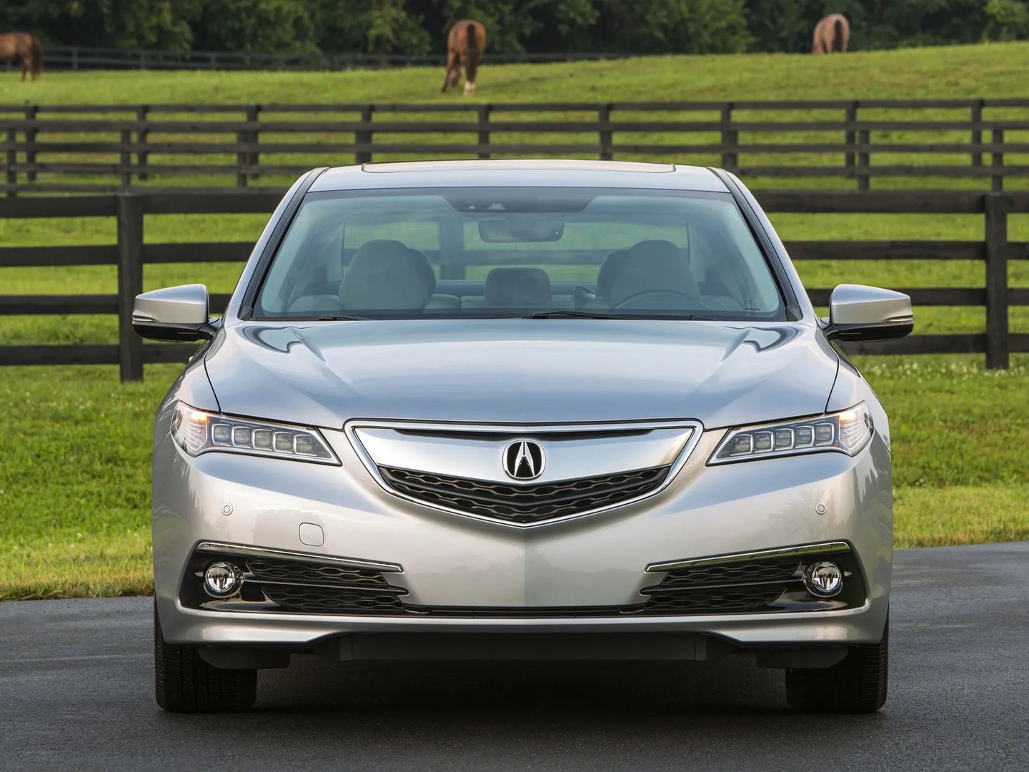 Acura_TLX_1_generation__Sedan__13.jpg