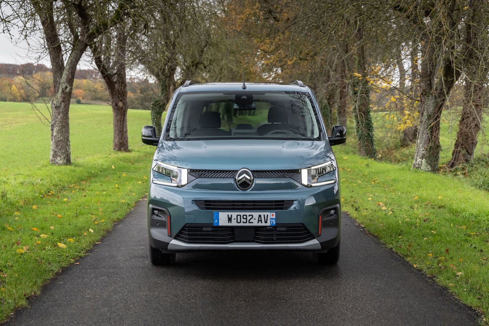 citroen_Berlingo_3_generation_restyling__Compact_Van__19.jpg