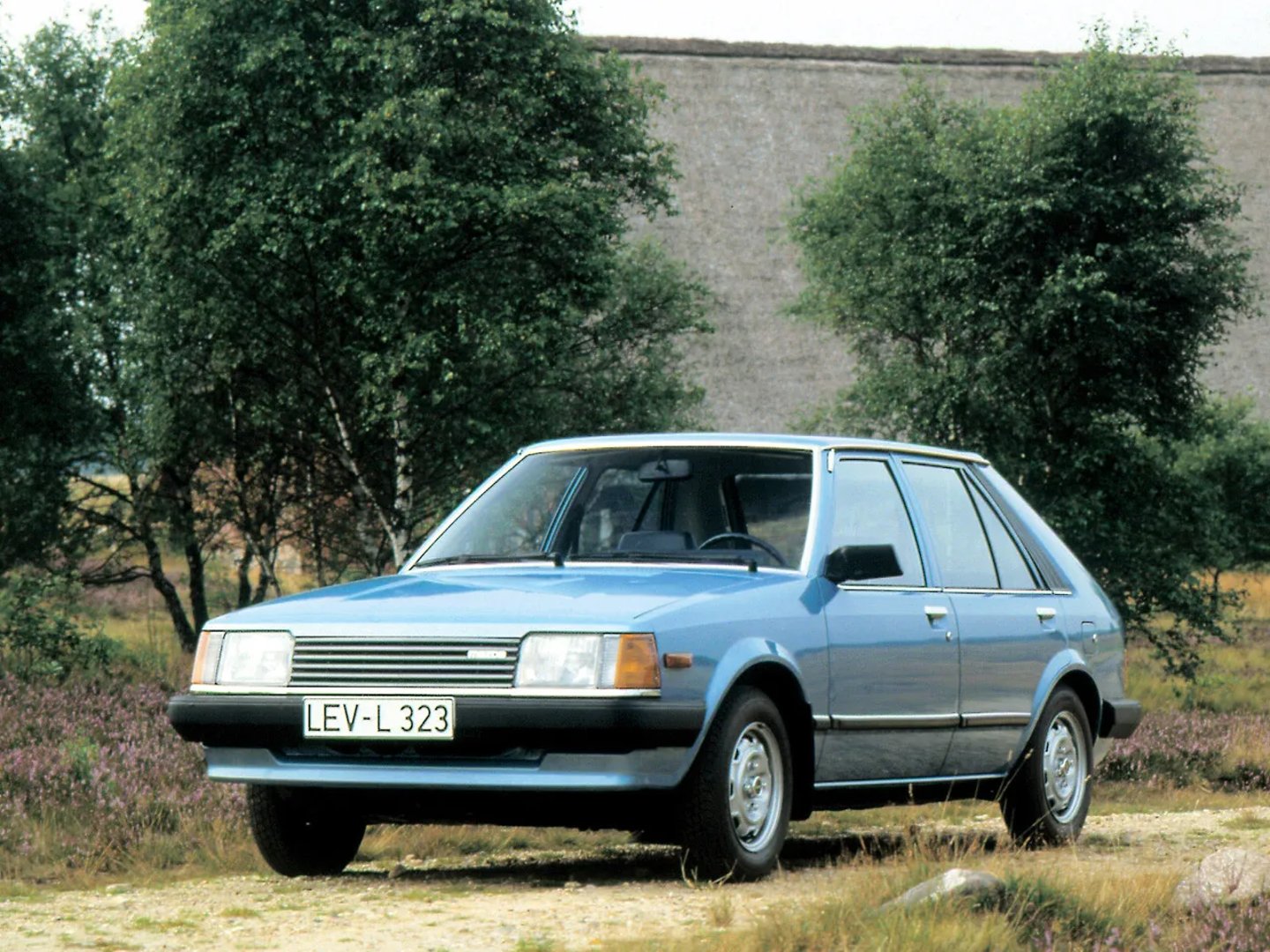 2 generation 