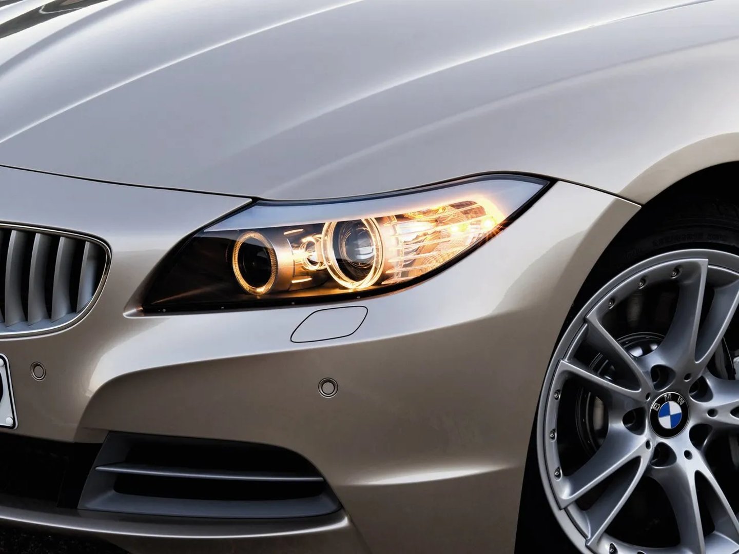 BMW_Z4_2_generation__Roadster__5.jpg