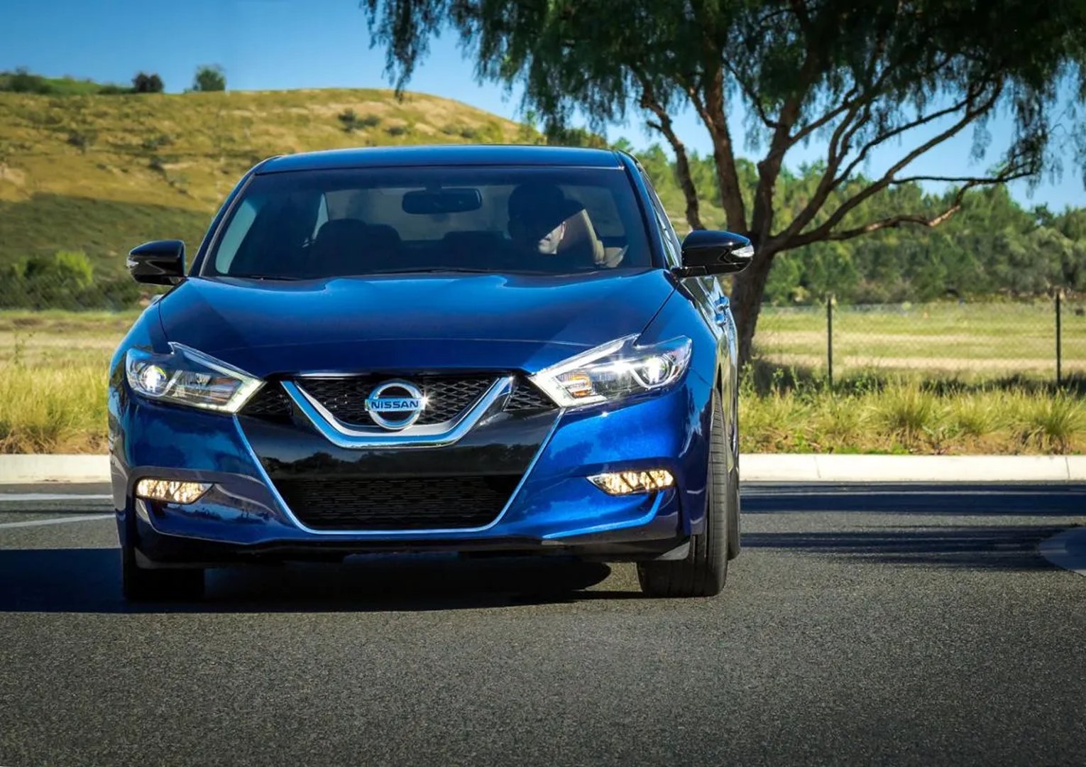 Nissan_Maxima_8_generation__Sedan__5.jpg