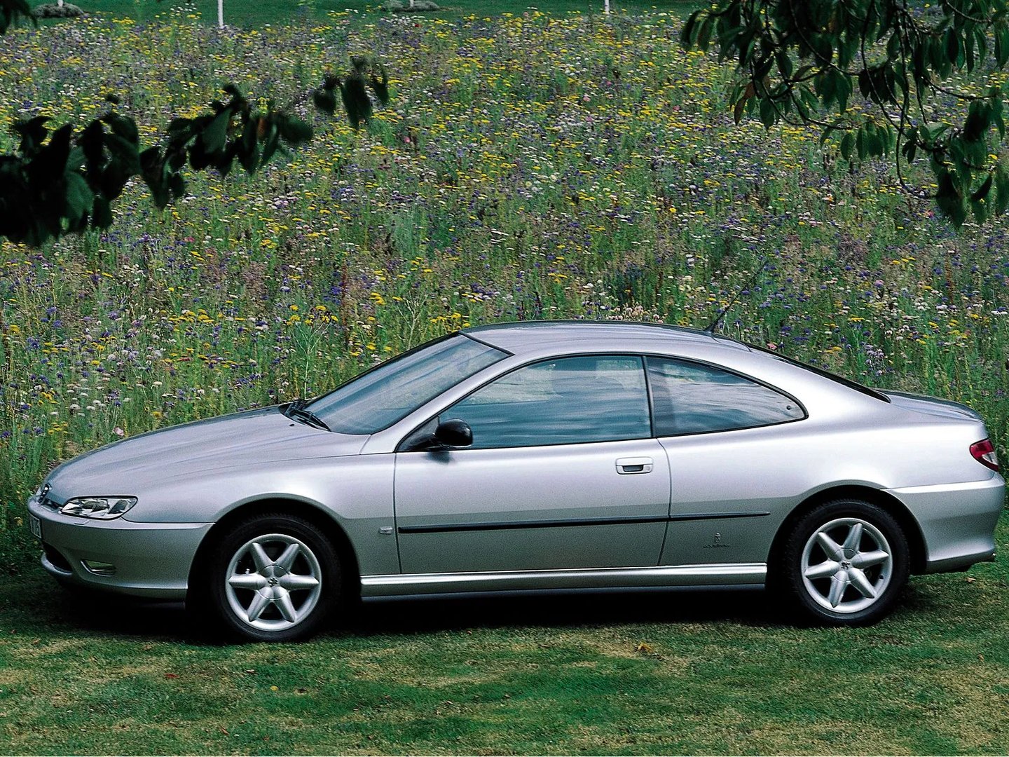 Peugeot_406_1_generation__Coupe__4.jpg