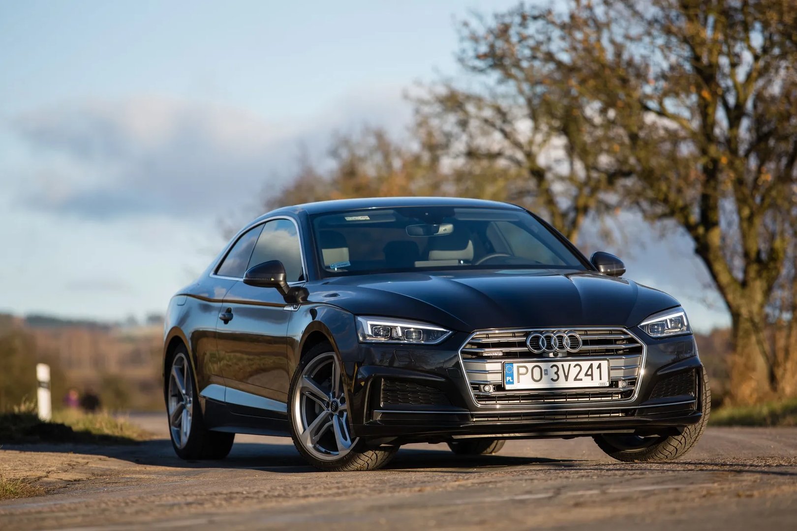 Audi_A5_2_generation__Coupe__9.jpg