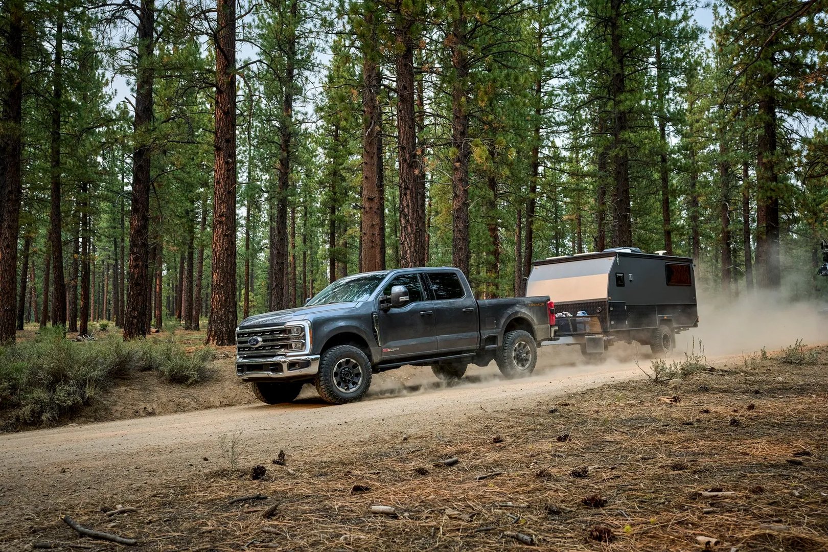 Ford_F-250_5_generation__Pickup_double-cab__3.jpg