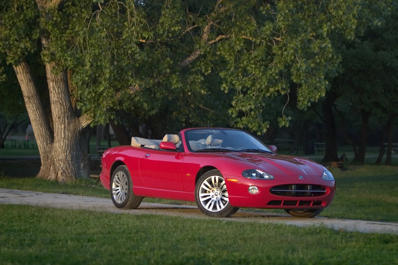 Jaguar_XK_1_generation_restyling__Cabrio__2.jpg