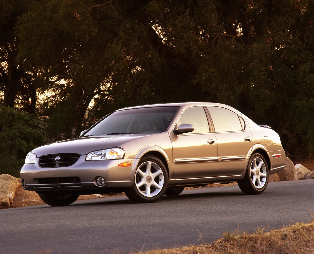 Nissan_Maxima_5_generation__Sedan__1.jpg