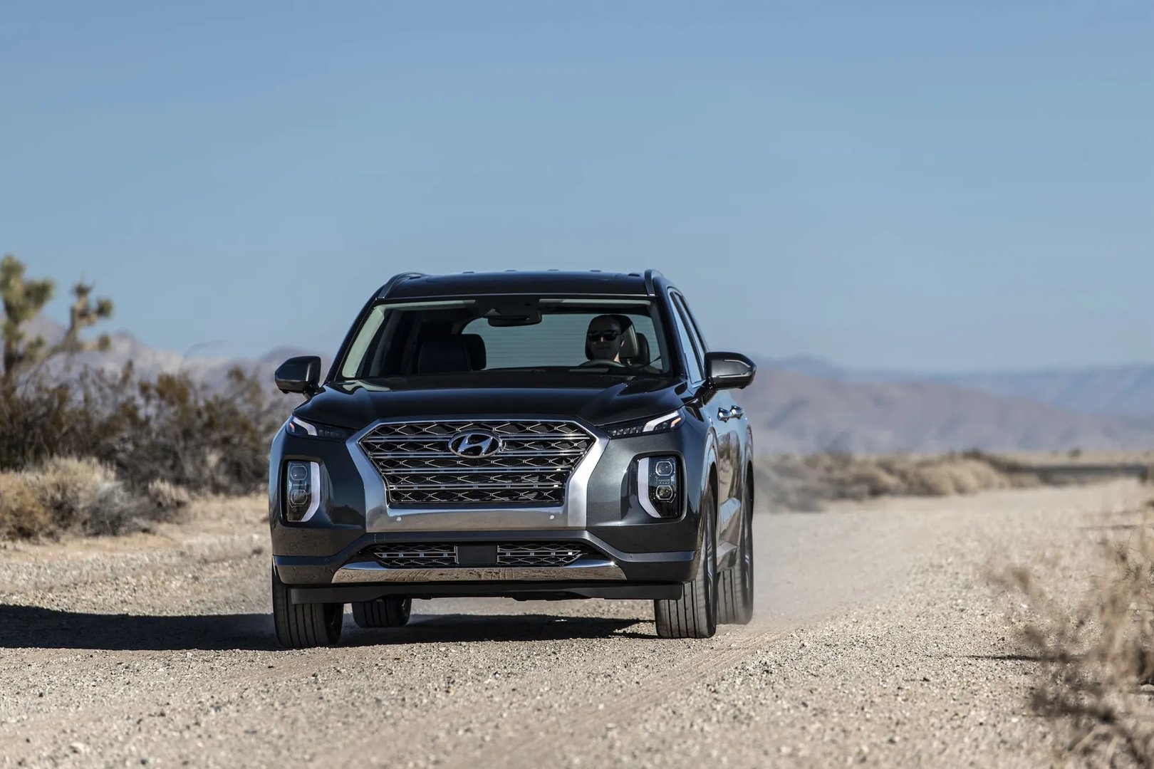 Hyundai_Palisade_1_generation__SUV_5-doors__7.jpg