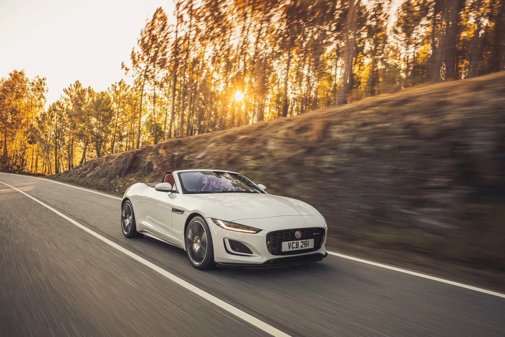 Jaguar_F-Type_1_generation_restyling_2__Roadster__13.jpg