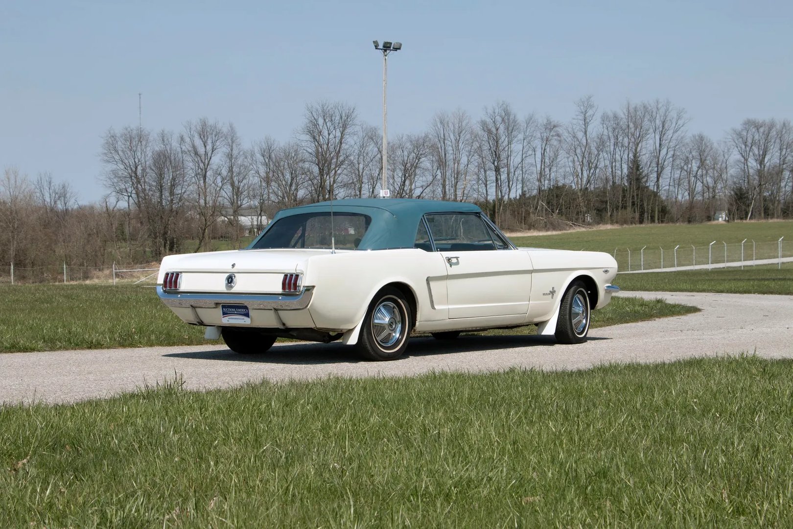 Ford_Mustang_1_generation__Cabrio__4.jpg