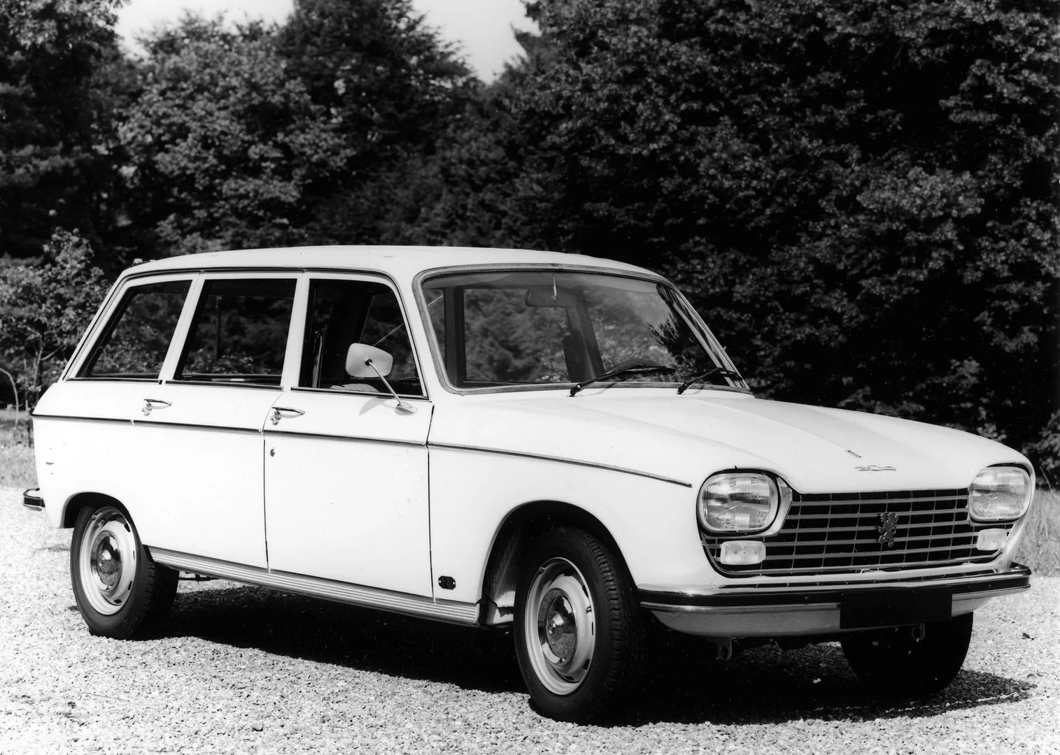Peugeot_204_1_generation__Estate_5-door__3.jpg
