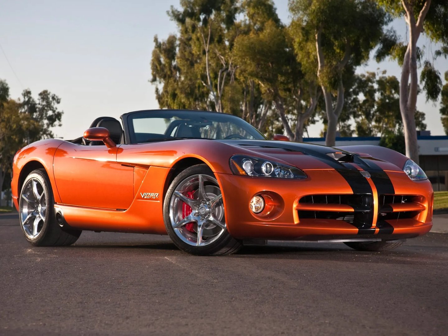 Dodge_Viper_4_generation__Roadster__2.jpg