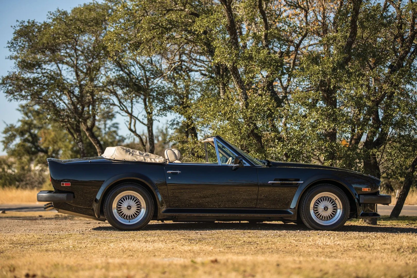 Aston Martin_Vantage_1_generation__Cabrio__12.jpg