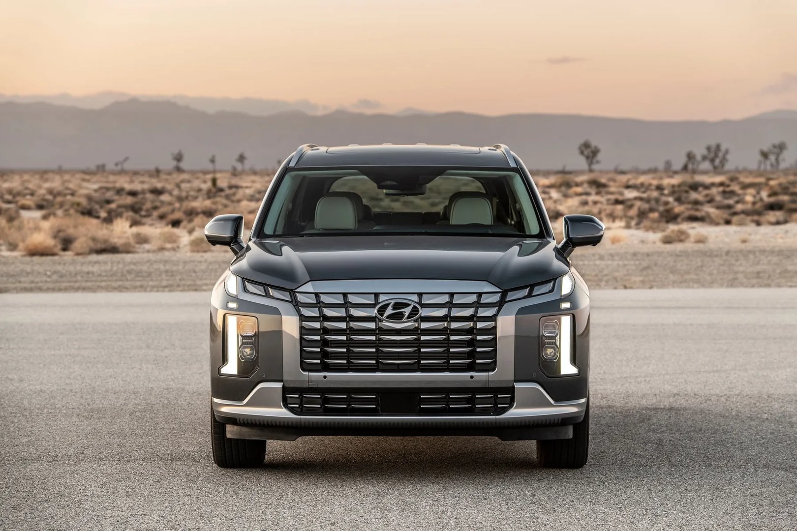 Hyundai_Palisade_1_generation_restyling__SUV_5-doors__7.jpg