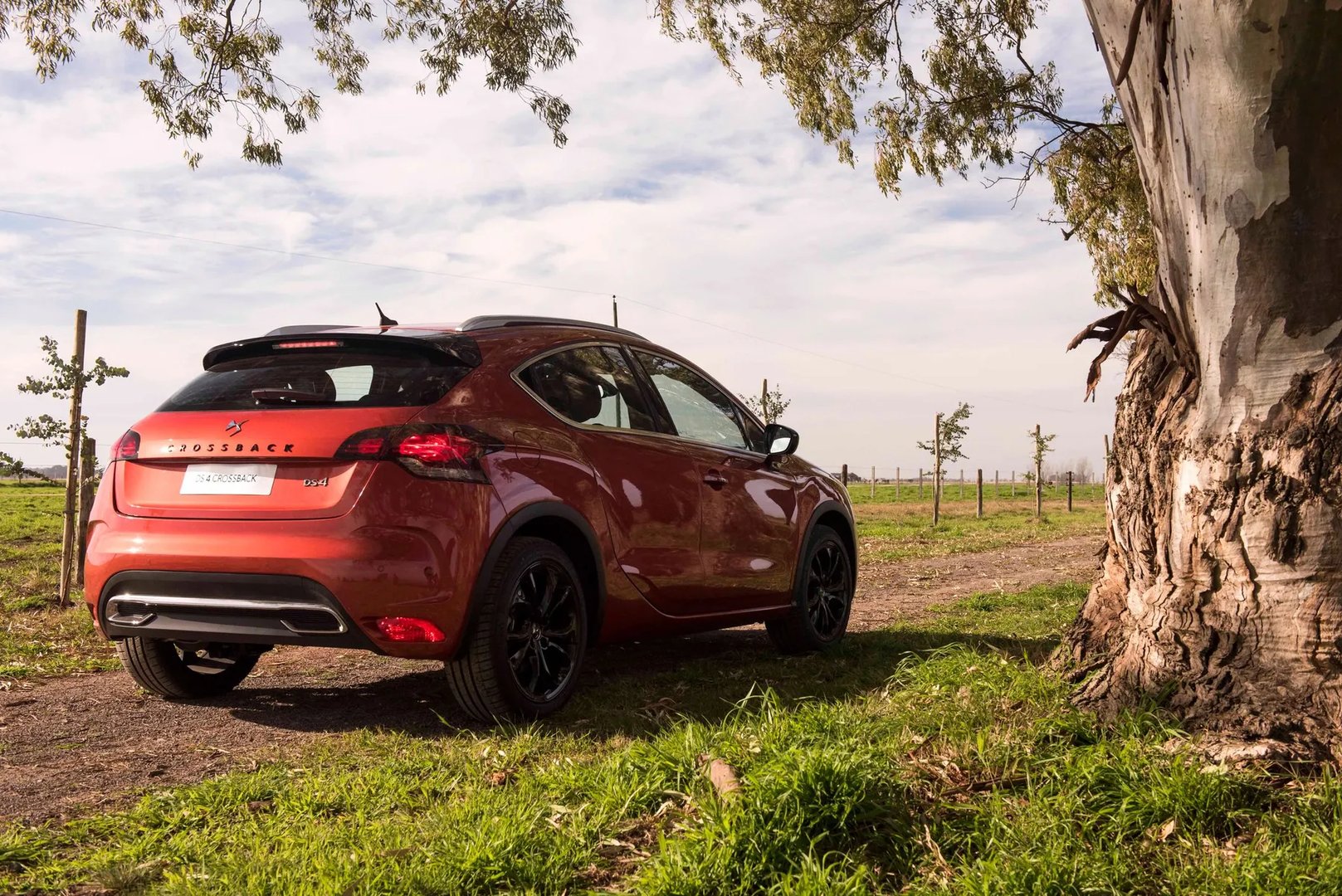DS_4_Crossback_1_generation__SUV_5-doors__8.jpg