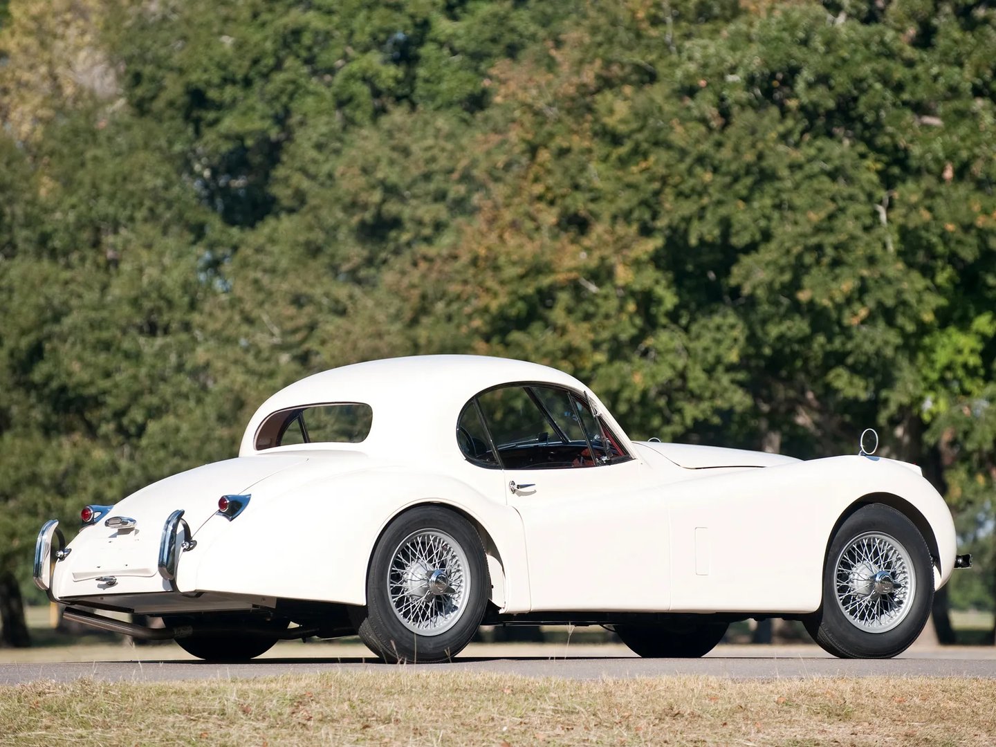Jaguar_XK_Raritet_1_generation__Coupe__7.jpg
