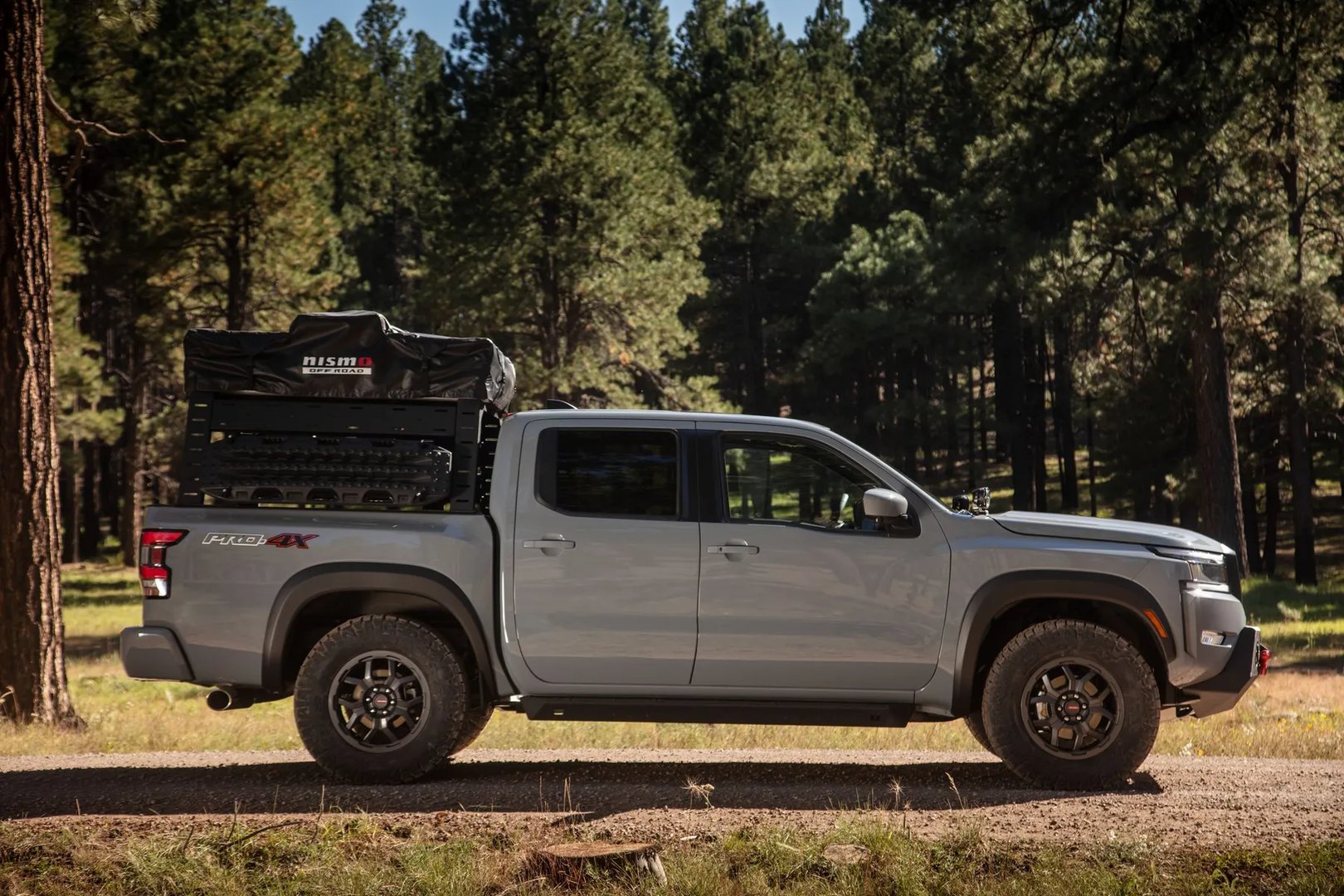 Nissan_Frontier_3_generation__Pickup_1.5-cab__6.jpg