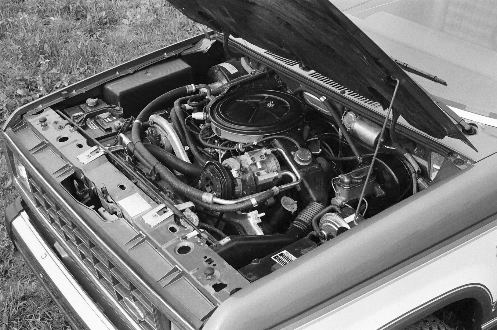 Ford_Ranger_(North_America)_1_generation__Pickup_single-cab__10.jpg