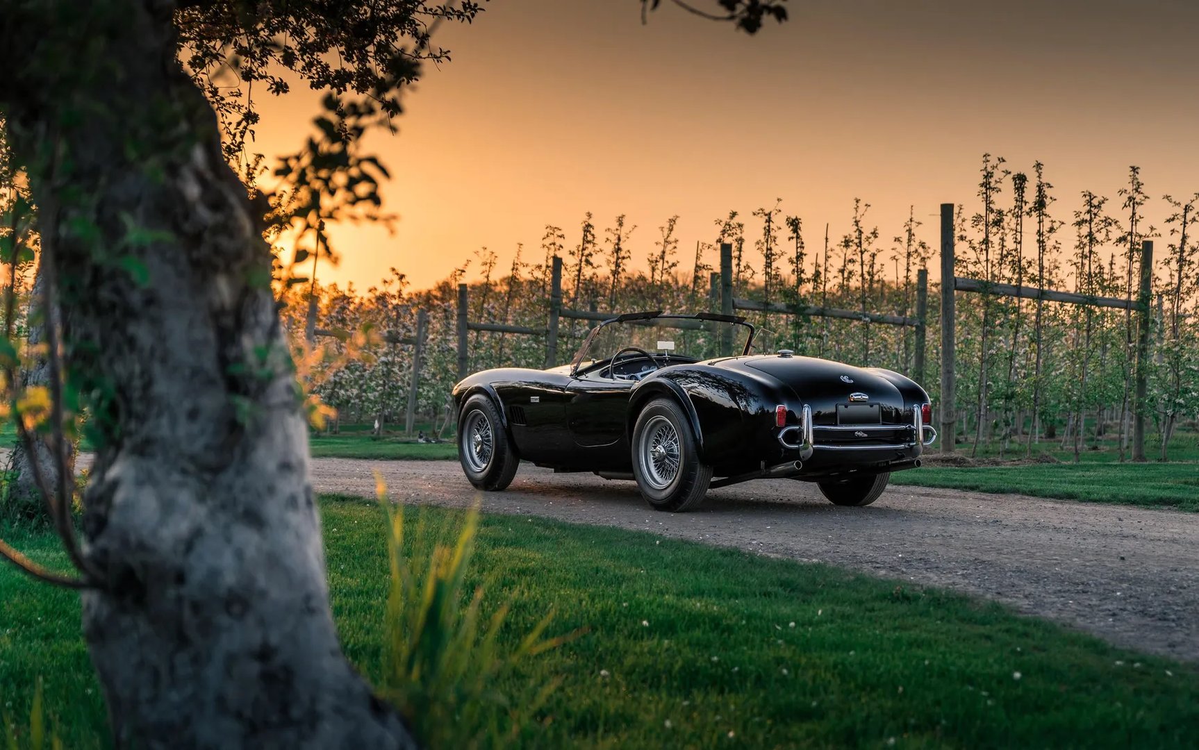 AC_Cobra_2_generation__Roadster__7.jpg