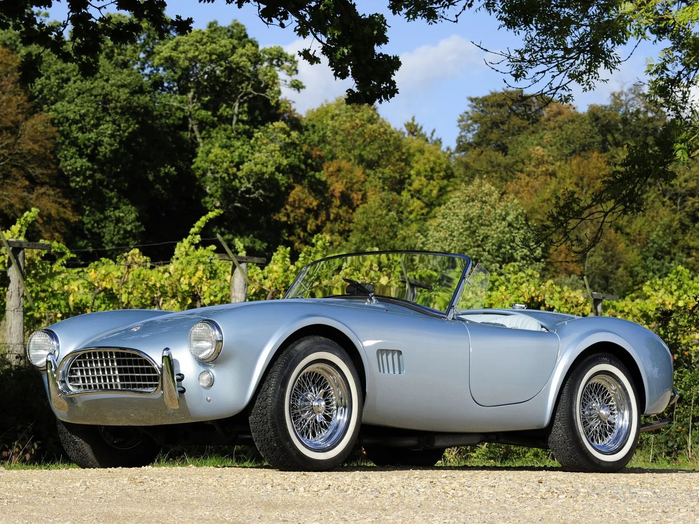 AC Cobra 2 generation