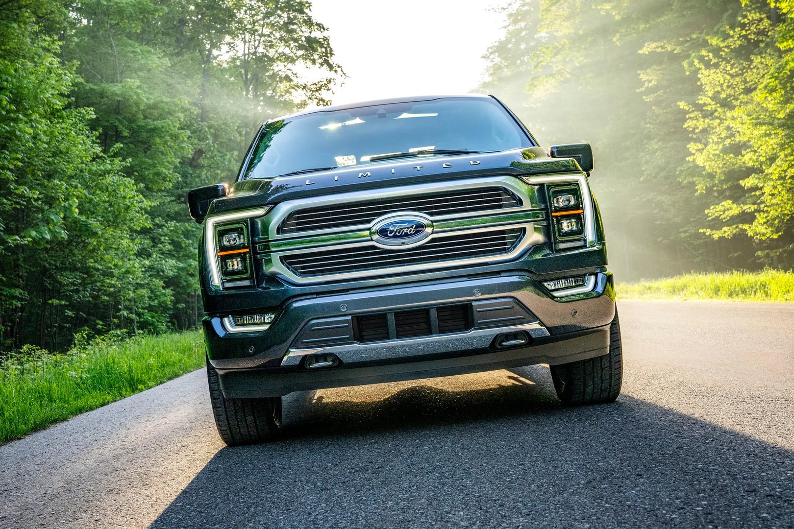 Ford_F-150_14_generation__Pickup_double-cab__7.jpg