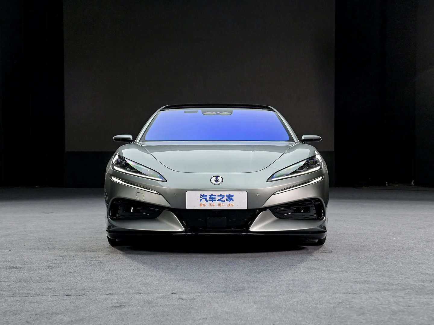 denza_Z9_1_generation__Hatchback_5-door__4.jpg