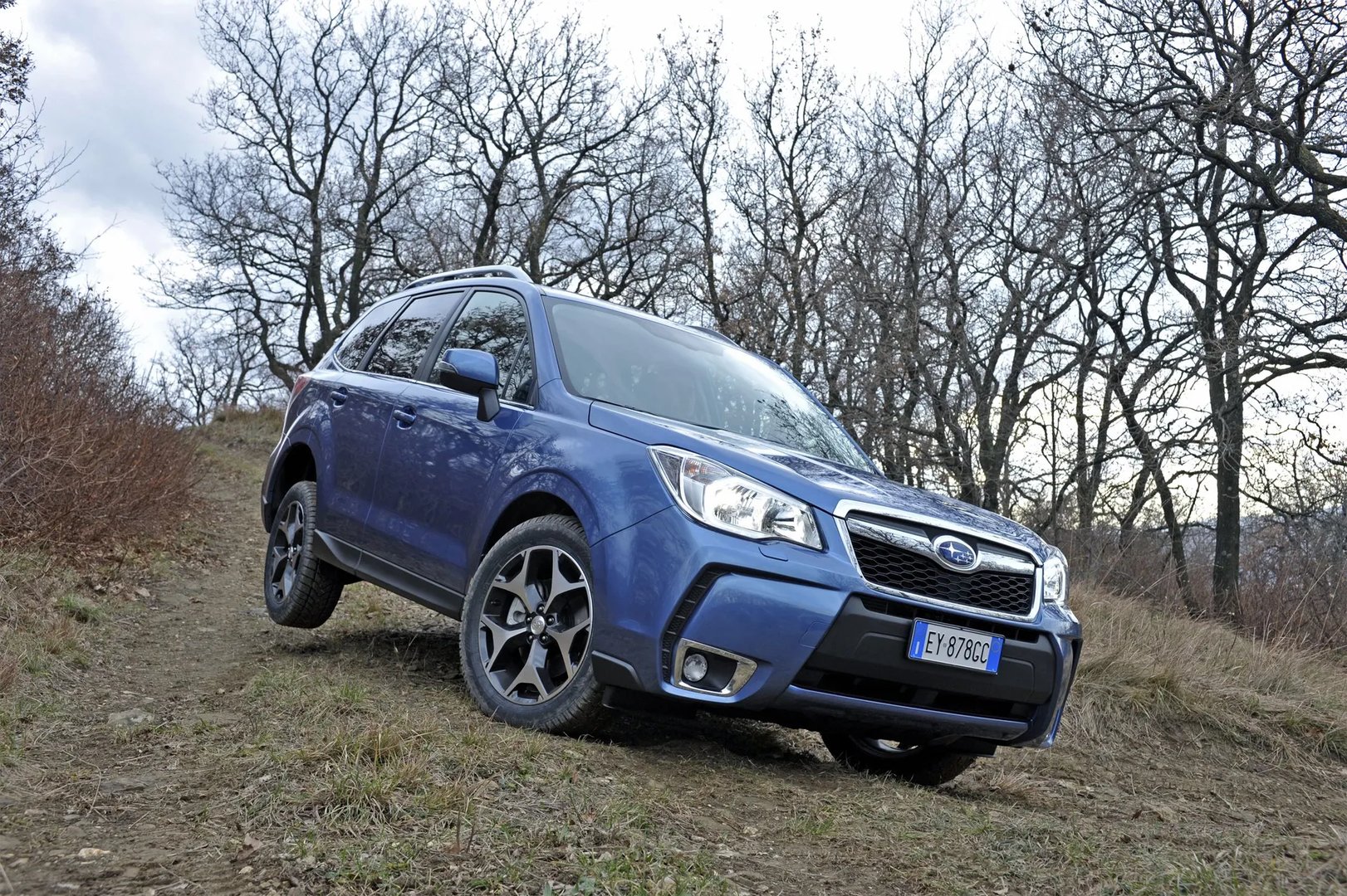 Subaru_Forester_4_generation__SUV_5-doors__4.jpg