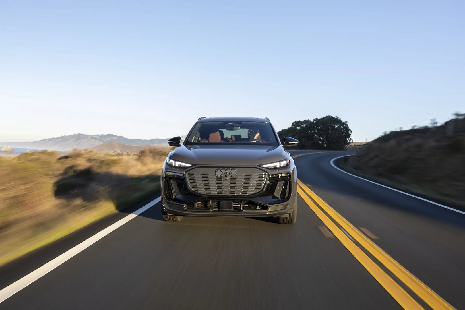 audi_SQ6_1_generation__SUV_5-doors__2.jpg