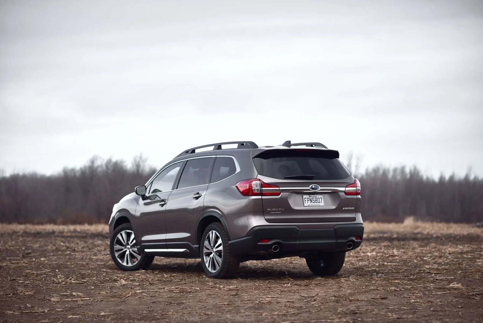 Subaru_Ascent_1_generation__SUV_5-doors__1.jpg