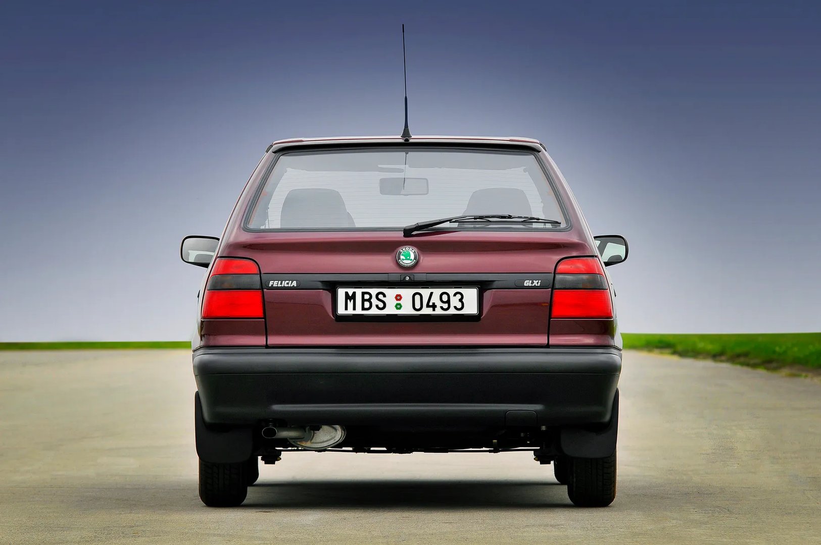 Skoda_Felicia_1_generation__Mini_5-doors__3.jpg