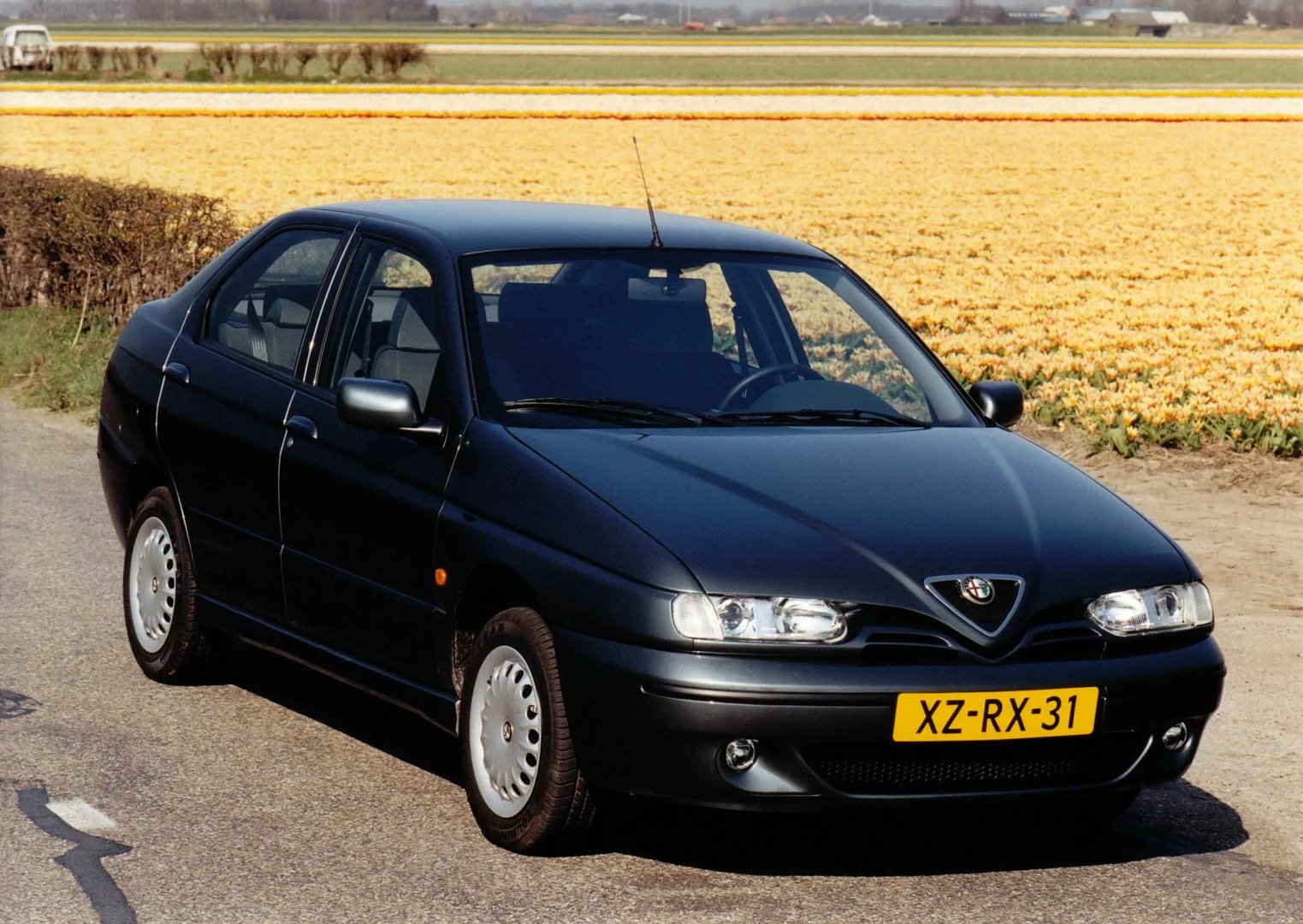 Alfa Romeo_146_1_generation__Hatchback_5-door__6.jpg