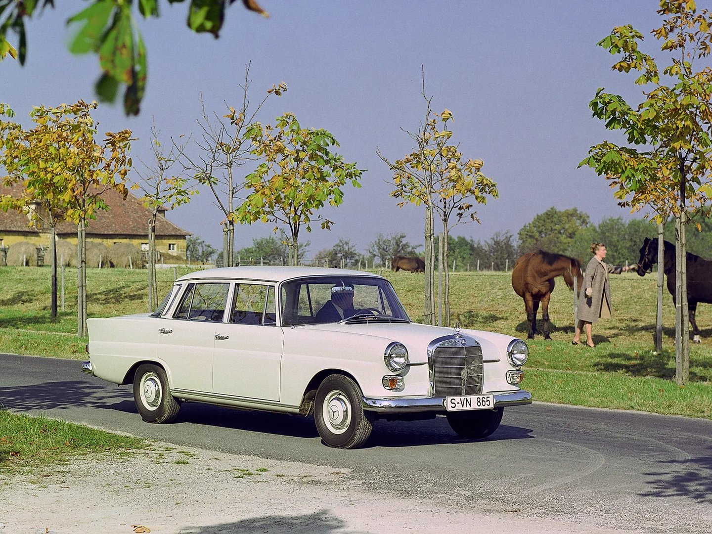 Mercedes_W110_2_generation__Sedan__3.jpg
