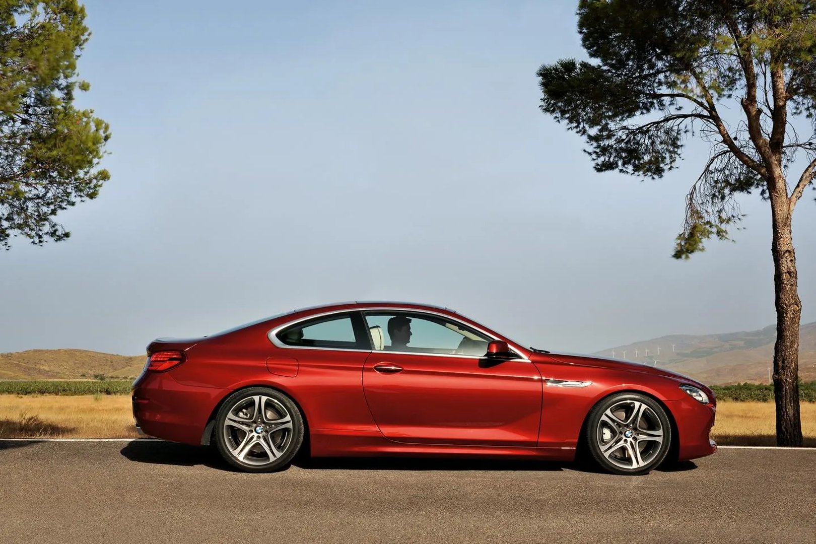 BMW_6_series_3_generation__Coupe__1.jpg