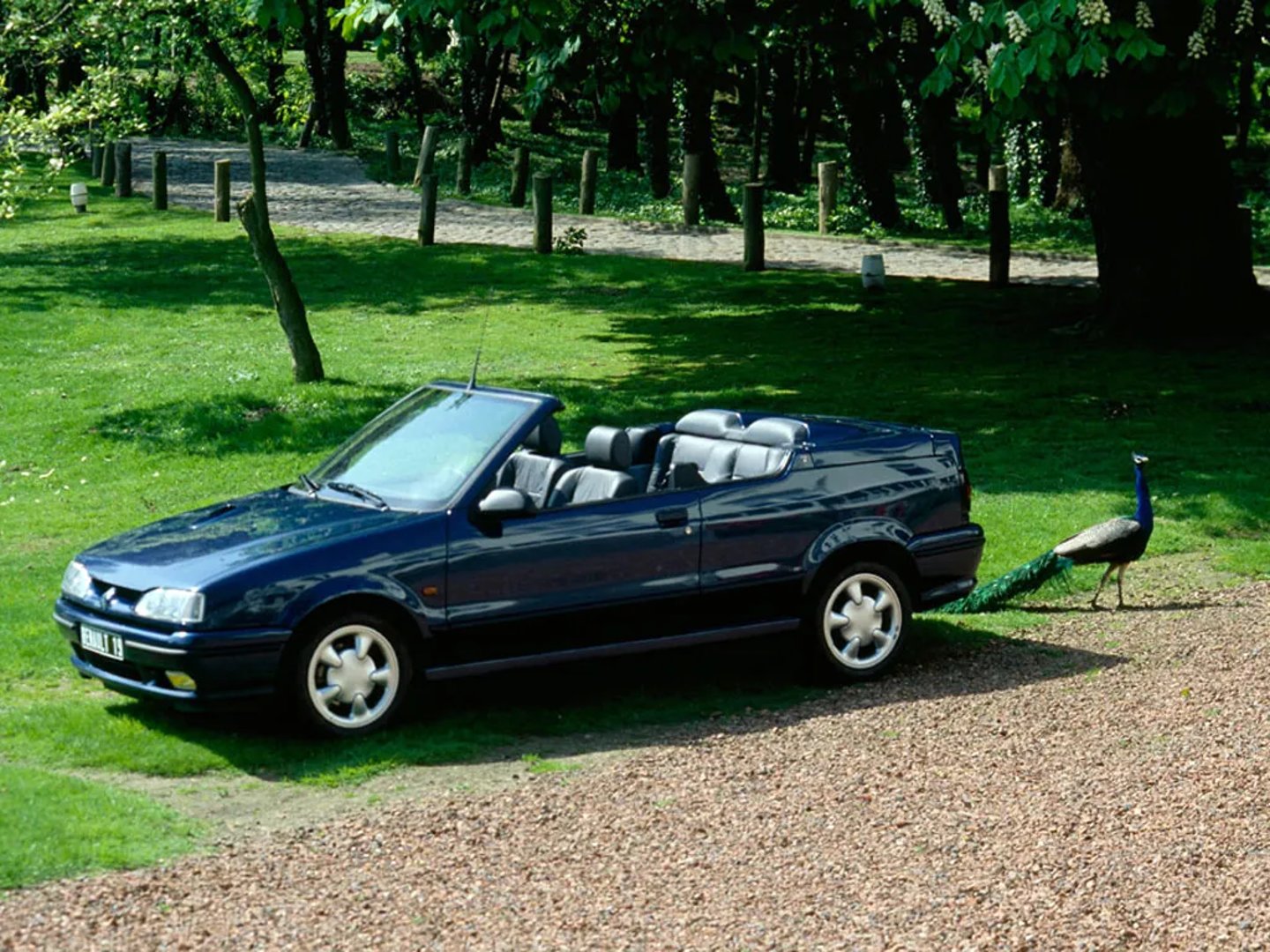 Renault_19_2_generation__Cabrio__3.jpg